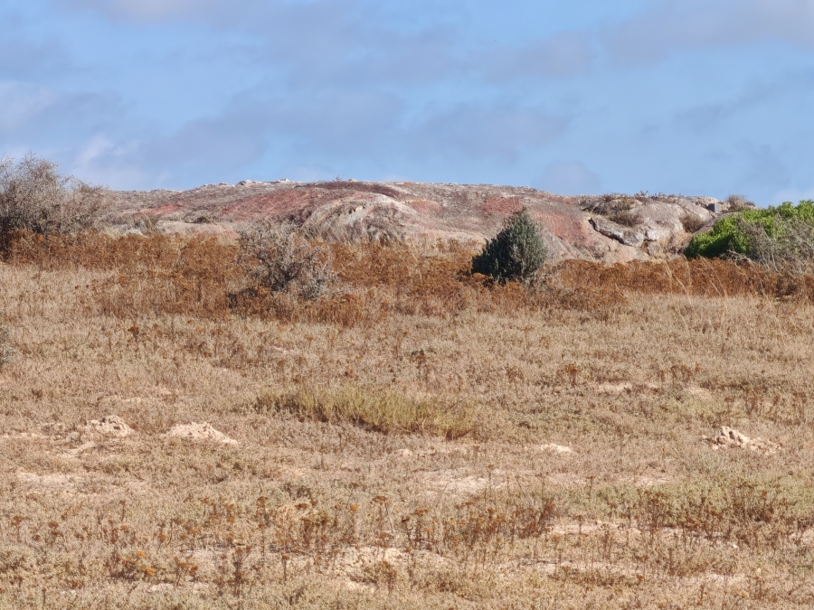 0 Bedroom Property for Sale in Langebaan Country Estate Western Cape